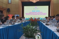 Kinh tế hợp tác từng bước hoạt động đúng bản chất
