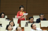 Lần đầu tiên trong lịch sử, trình Quốc hội quyết định cấp vốn cho doanh nghiệp