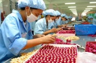 Vẫn lúng túng các biện pháp thi hành Luật thuế Nhập khẩu, thuế xuất khẩu