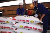 Đạm Ninh Bình: Chưa thể bàn giao sau 2 năm vận hành