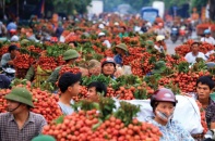 Nhật Bản, Hàn Quốc… mở cửa cho trái cây Việt 