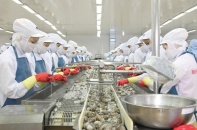 Giấc mơ 3,5 tỷ USD của Thủy sản Minh Phú