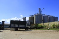 Nhà máy cồn Ethanol Đại Tân ngừng sản xuất: Gánh nặng cho cả bốn nhà