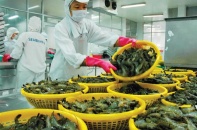 Bạc Liêu: Nâng cao năng lực cạnh tranh, thu hút đầu tư