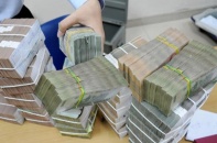 Hy sinh lãi suất vì tỷ giá