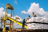 TCT  Phân bón và Hóa chất Dầu khí không chờ lợi thế giá dầu giảm