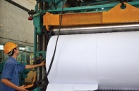 Sojitz dời dự án bột giấy về Quảng Ninh?