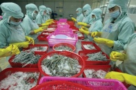 Xuất khẩu nguy cơ không đạt mục tiêu tăng trưởng 10%