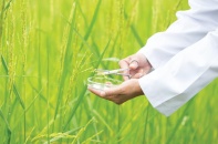 Vinaseed chớp thời cơ từ sự khôn ngoan