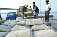 "Ông lớn" Holcim và Lafarge về một nhà: Xi măng lại tăng sức nóng