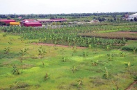 Rốt ráo xử lý dự án Khu công nghiệp chậm triển khai