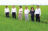 Sóc Trăng đầu tư nâng cao giá trị nông sản