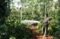 Không để 10 triệu hộ nông dân kiệt sức trong hội nhập