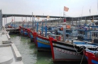 Tập đoàn Yanmar Nhật Bản xúc tiến xây lắp nhà máy đóng tàu tại Cảng cá Đề Gi