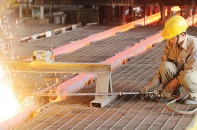 Doanh nghiệp lớn lạc quan trước tác động của TPP