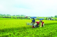 Vốn Nhật hướng mạnh vào nông nghiệp