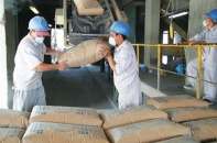 Doanh nghiệp xi măng dồn dập ký đơn hàng xuất khẩu lớn