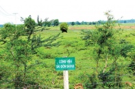 TP. Hồ Chí Minh: Dự án công viên "ngủ quên" hàng thập kỷ