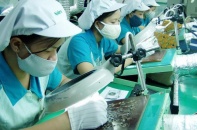 Thu hút FDI: TP.HCM bị Đồng Nai, Bình Dương bỏ xa