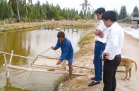 Chất lượng tôm giống kém: Dân chịu phận "chỉ mành treo chuông"