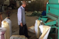 Nông trường Sông Hậu “thoi thóp” chờ tái cơ cấu