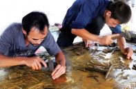 Giảm mối lo thiếu vốn cho doanh nghiệp nhỏ và vừa