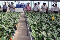 Nông nghiệp công nghệ cao: Sự vào cuộc của “sếu đầu đàn”