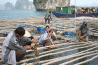 Nông nghiệp Quảng Ninh, dư địa lớn cho nhà đầu tư