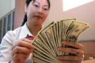 Nên điều chỉnh lãi suất huy động USD