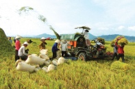 Làm gì khi nông nghiệp - trụ đỡ của nền kinh tế đang lung lay?