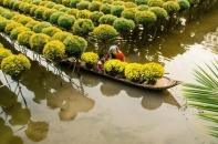 Đánh thức tiềm năng vùng Đồng bằng sông Cửu Long