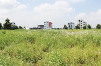 Doanh nghiệp TP.HCM: Chán “đất vàng”, đi săn dự án “chết”