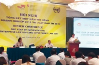 Nhìn lại một năm thực hiện Luật Doanh nghiệp, Luật Đầu tư
