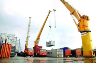 Rà soát cam kết TPP để tránh đáo tụng đình