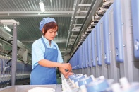 Hồn cốt của Đề án Tái cơ cấu kinh tế không phải cần bao nhiêu tỷ USD