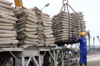 Bao bì nội hút vốn ngoại