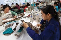 Xúc tiến khởi kiện doanh nghiệp nợ đọng bảo hiểm xã hội trong năm 2016