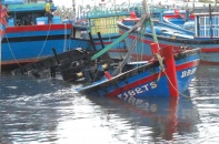 Doanh nghiệp bảo hiểm cùng ngư dân vượt sóng