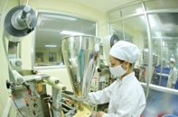 Những doanh nghiệp niêm yết nếm “trái ngọt” trên sàn chứng khoán