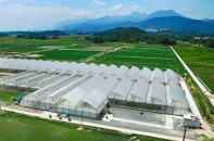 Nắn dòng tín dụng vào nông nghiệp, nông thôn