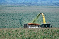 Dự báo tăng trưởng nông nghiệp qua 2 tháng đầu năm