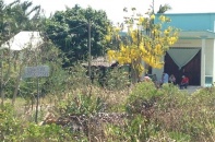 Bất động sản TP.HCM: Cần Giờ sốt giá đất nhờ các đại dự án