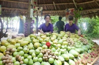 Tăng tiêu thụ trong nước để hỗ trợ tăng trưởng