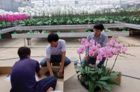 Vì sao dòng vốn 135.000 tỷ đăng ký rót vào nông nghiệp công nghệ cao chưa chảy?