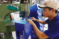Kinh tế gia cấp cao của ADB phân tích về nhiệm vụ ưu tiên phát triển kinh tế tư nhân ở Việt Nam