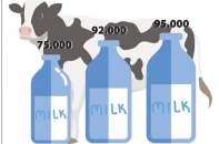 Quy mô ngành sữa đang “phình” to
