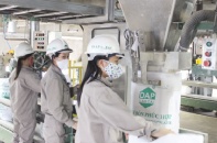 Tự vệ với phân bón DAP nhập khẩu: Doanh nghiệp nội có giảm thua lỗ?