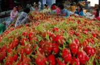 Đại biểu Quốc hội: Người tiêu dùng thông minh, cơ quan quản lý cũng phải thông minh.