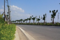 Muôn nẻo “đào thoát” bất động sản tồn kho: Chỗ nhẹ nhàng, nơi đau đớn