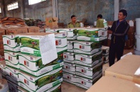 Công ty Thuận Phong gửi “Đơn giải trình và nhận khuyết điểm” tới Thủ tướng